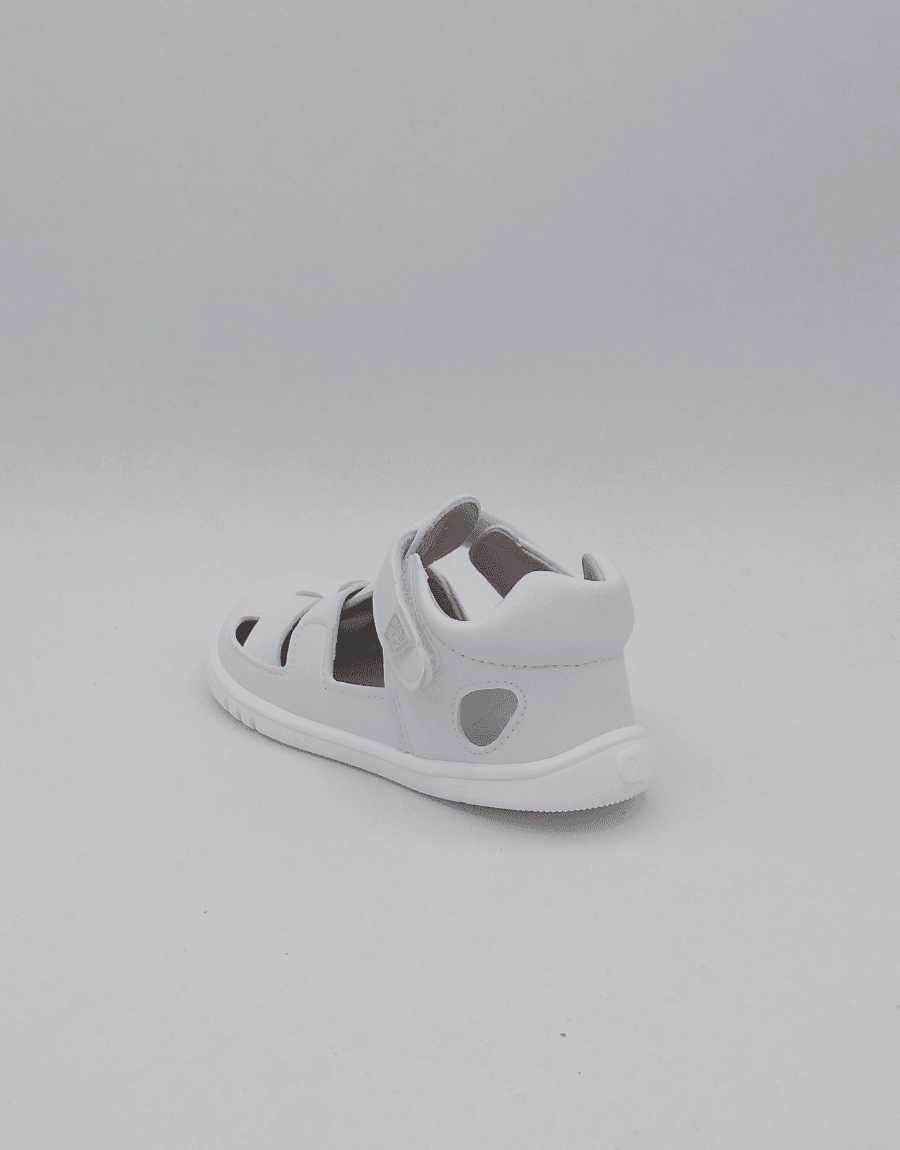 Plantilla Productos Web (1)