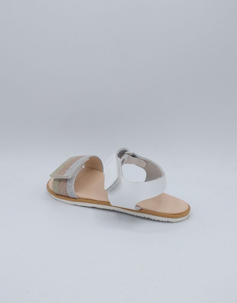 Plantilla Productos Web (14)