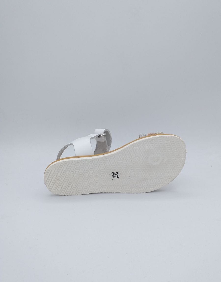 Plantilla Productos Web (15)