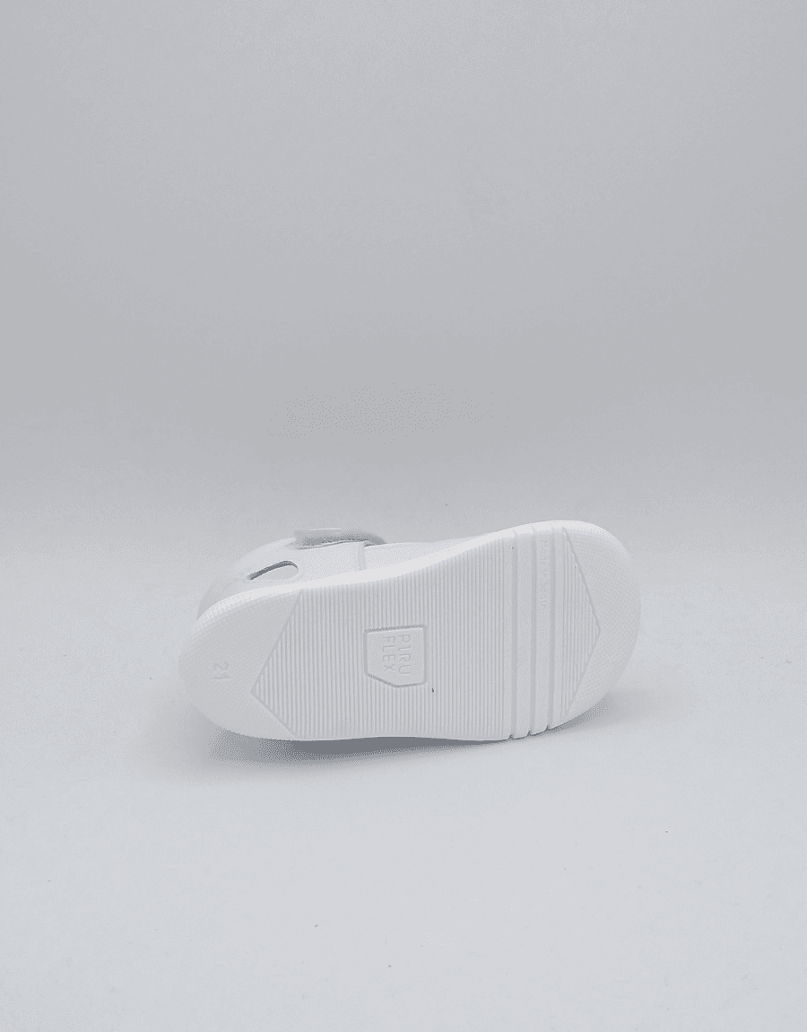 Plantilla Productos Web (2)