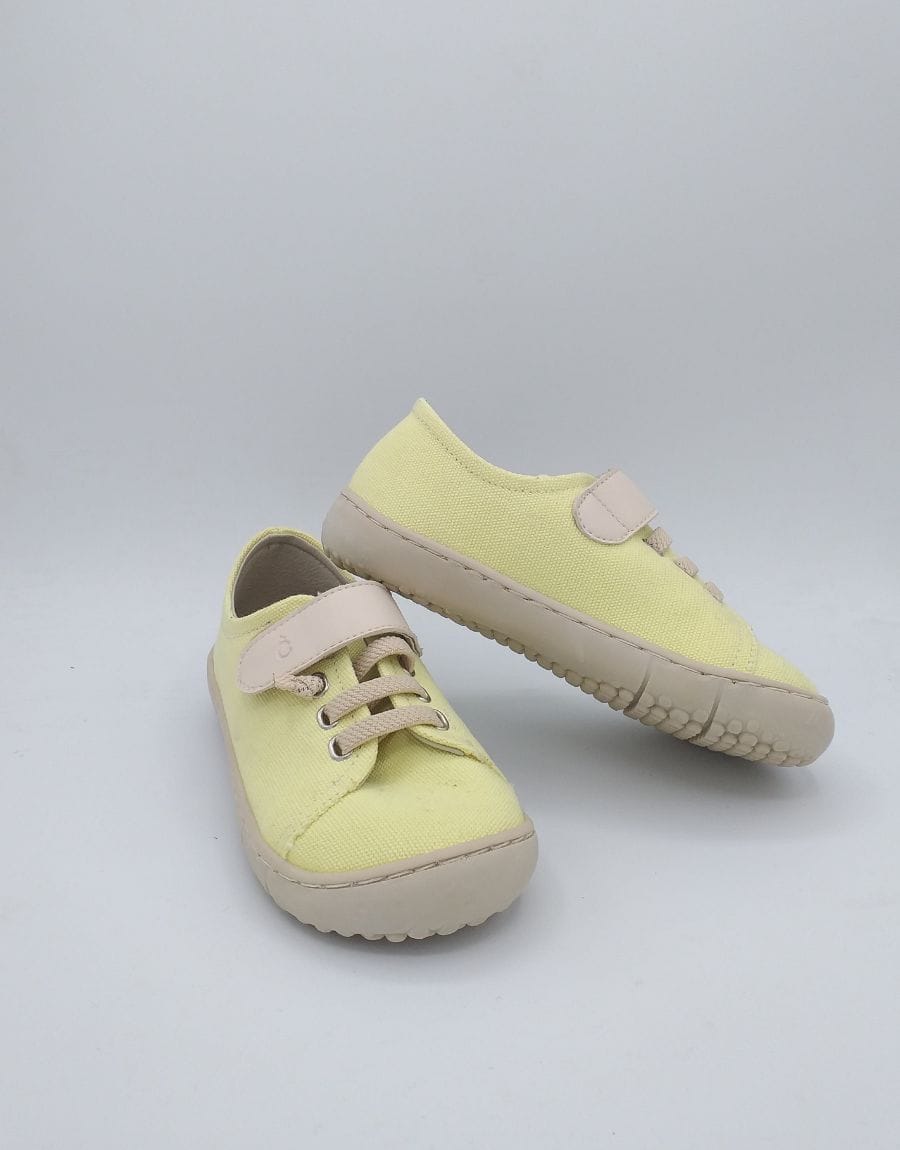 Plantilla Productos Web - 2025-04-22T133110.015