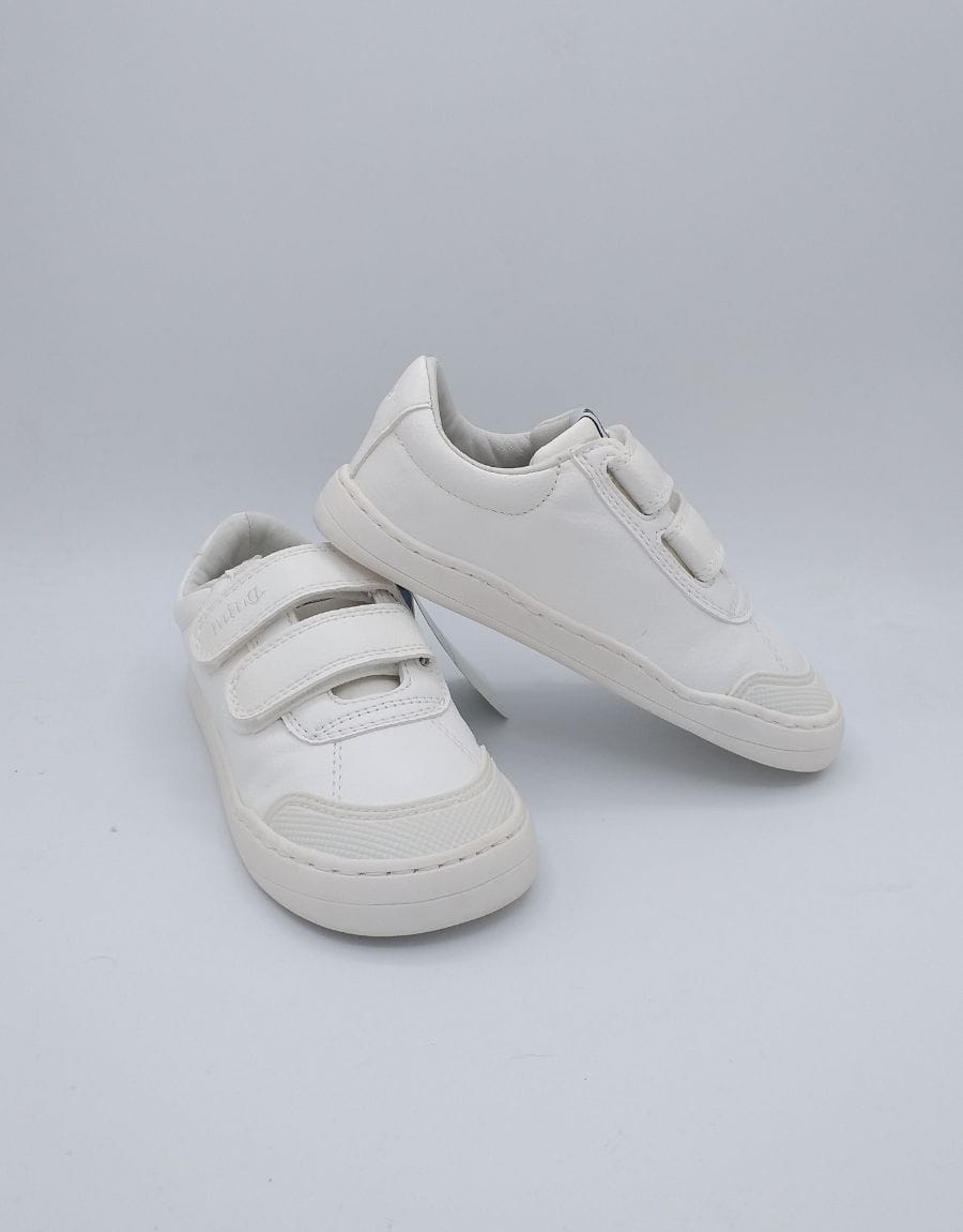 Plantilla Productos Web - 2025-04-23T184001.760