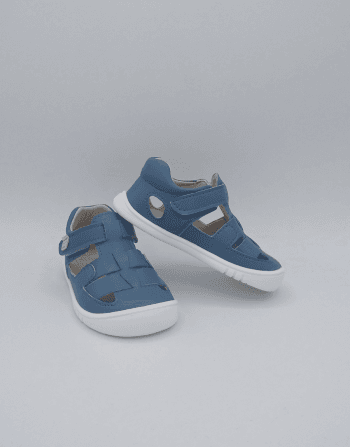 PF271 CANGREJERA AZUL OCEANO