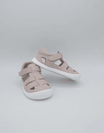 PF271 CANGREJERA ROSA