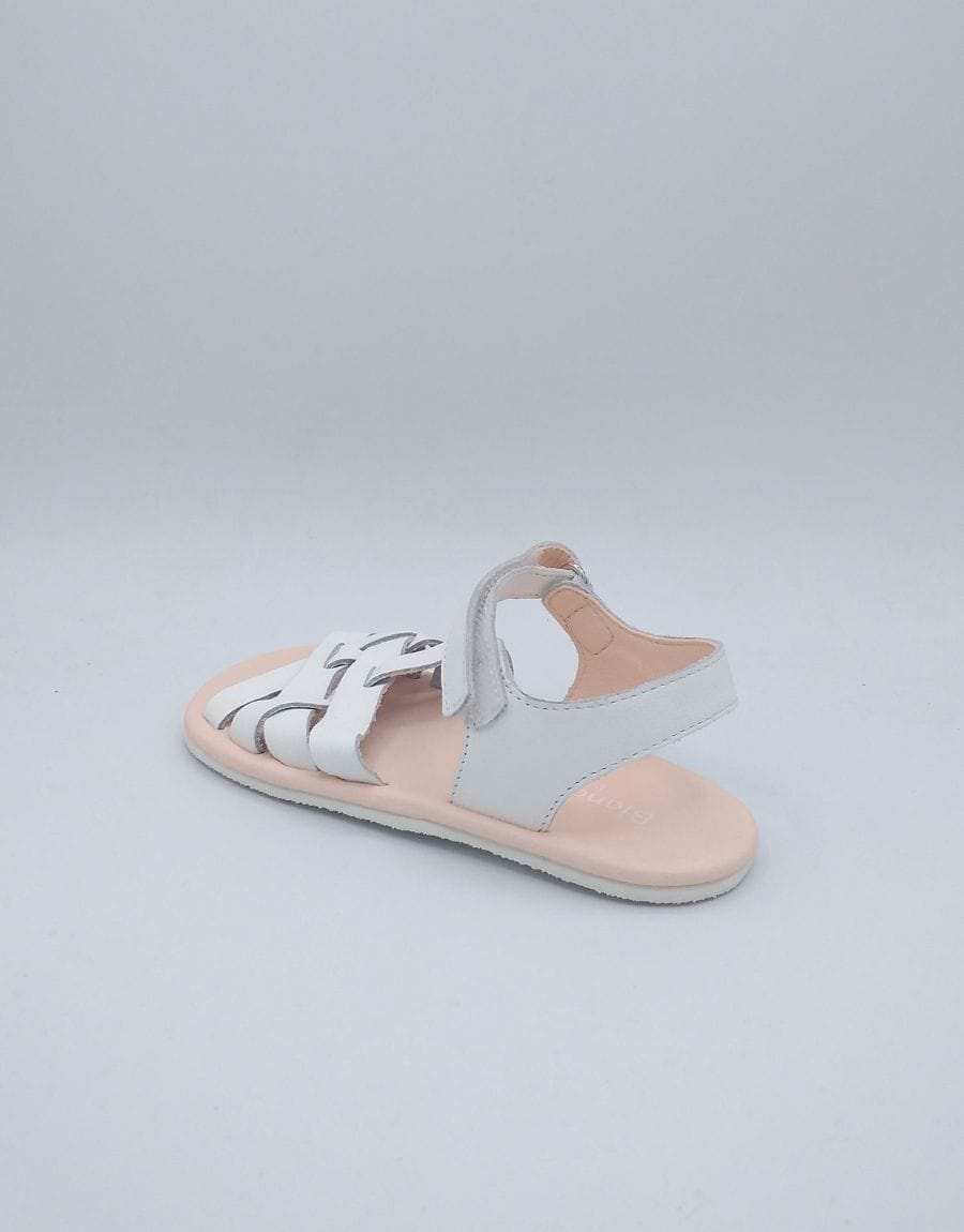 productos web - 2025-05-13T192940.451