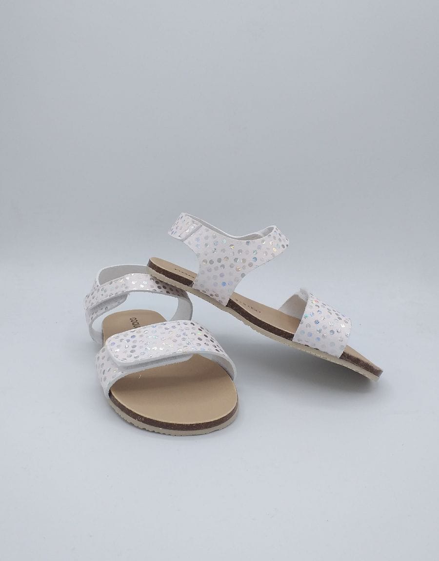 productos web - 2025-05-13T194026.542