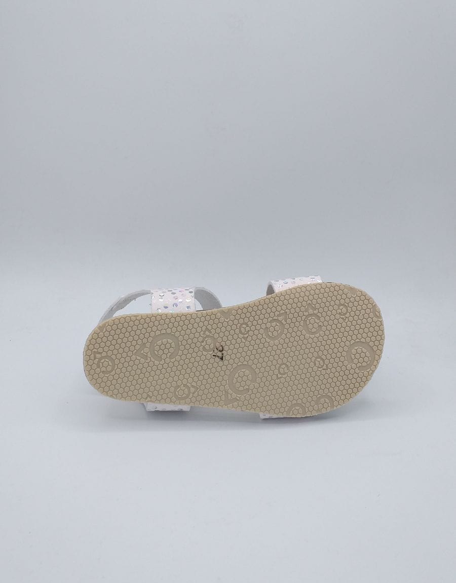 productos web - 2025-05-13T194154.514